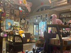 -猫咪博物馆(顶澳仔猫街店)