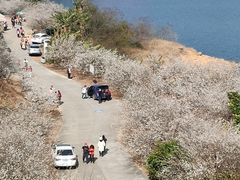 -广州市流溪河国家森林公园