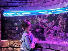 -沈阳海洋探索中心