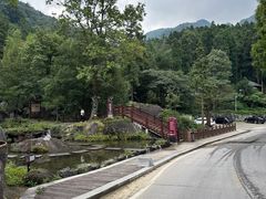 -大围山国家森林公园