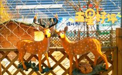 -萌宠亲子动物乐园(槐房万达店)