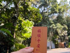 -深圳仙湖植物园