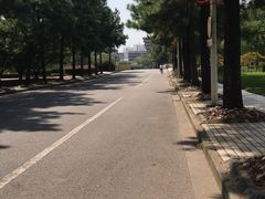 -同济大学(嘉定校区)