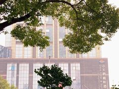 -长沙小天鹅戴斯酒店