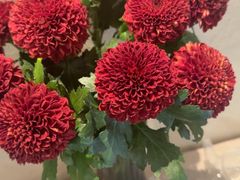 -川匠·睡眠采耳·SPA(九眼桥店)