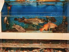 水产区-原龙海鲜大排档(美食地标店)