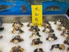 水产区-飞尝蚝·顺德菜·鱼生(顺德总店)