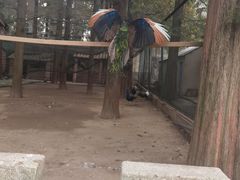 -南京金牛湖风景区