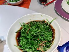 松茸豆苗-丰收日(五角场店)