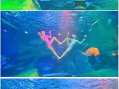 -海合安成都极地海洋公园