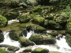 -牛背梁国家森林公园