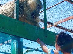 -新疆天山野生动物园