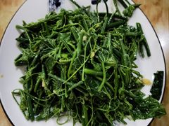 清炒丝瓜秧-力力豆花庄(广渠门店)