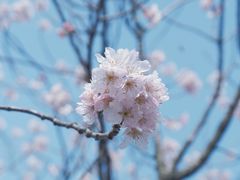 -上海辰山植物园