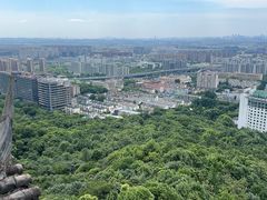 -杭州半山国家森林公园