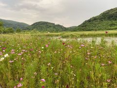-南北湖风景区
