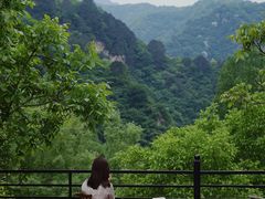 -秦岭风景区