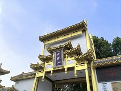 -白佛山景区