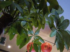 -鹿栖.精油SPA(金山世纪城店)