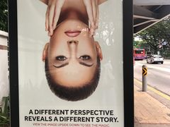 -龙海鲜螃蟹王(宏茂桥店)