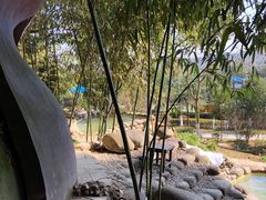 -三江森林温泉度假区