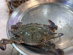 -开海·红岛海鲜虾水饺(石老人店)