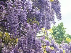 -西南交通大学(九里校区)