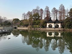 -红梅公园