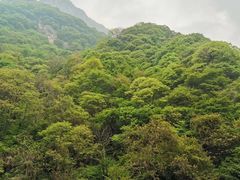 -陕西省红河谷森林公园