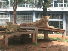 -昆明动物园