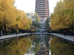 -玲珑塔公园
