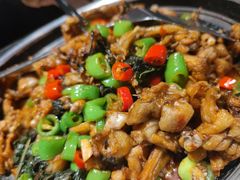 青椒紫苏味-蛙小侠·沸腾砂锅(南山欢乐颂店)