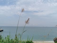 -巽寮湾