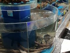 -新海渔港·胶东海鲜家常菜·家宴(奥体中心店)