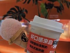 -野人先生现做冰淇淋(北京王府井东方新天地店)