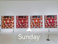 -深圳市当代艺术与城市规划馆