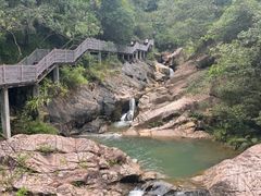 -广州白江湖森林公园