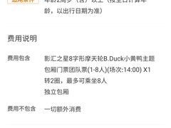 -影汇之星8字形摩天轮