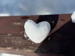 -长白山红松王滑雪场