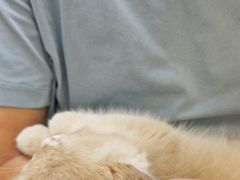 -美联众合24小时·皮肤科·外科·全科诊疗中心(华苑分院)