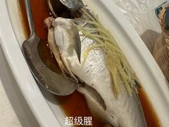 -光头匠