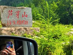 -芦芽山旅游度假区