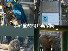 -郑州市动物园