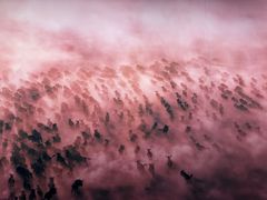 -罗红摄影艺术馆