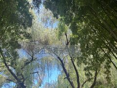 -东坡赤壁风景名胜区