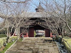 -牛首山文化旅游区