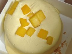 -糕小爱动物奶油生日蛋糕定制(晋江万达店)