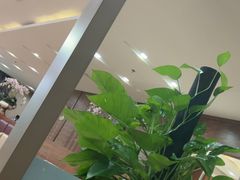 -桃仙机场头等舱休息室