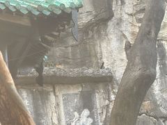 -桂林独秀峰王城景区