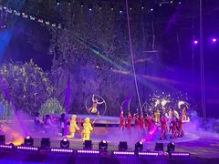 -灵玲国际马戏城